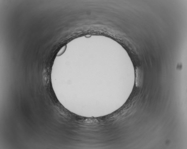 X0000116781491201001141500