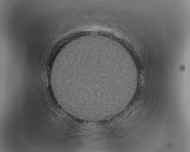 X0000116781493201001141500