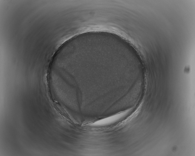 X0000116781497201001141500