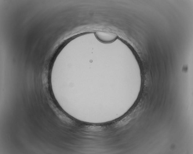 X0000116781499201001141500