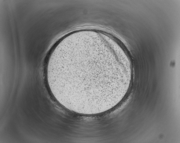 X0000116781501201001141500