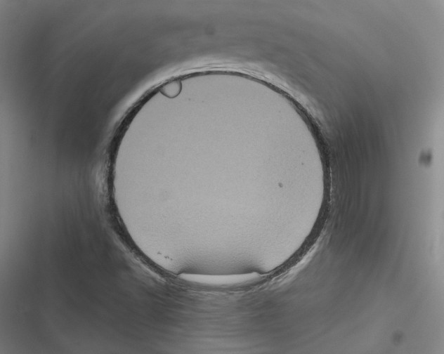 X0000116781502201001141500