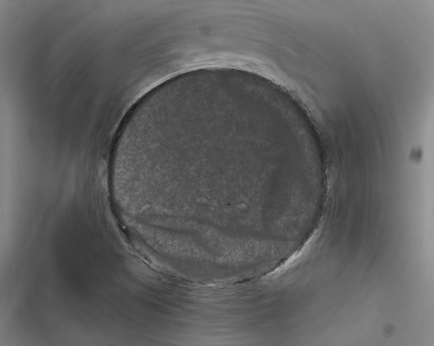 X0000116781505201001141501