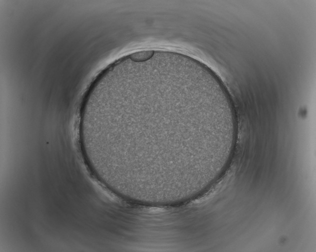 X0000116781507201001141501