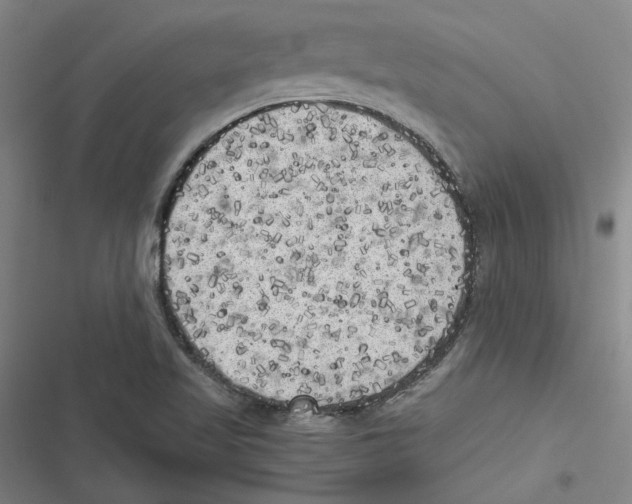 X0000116781509201001141501