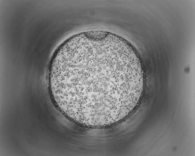 X0000116781510201001141501
