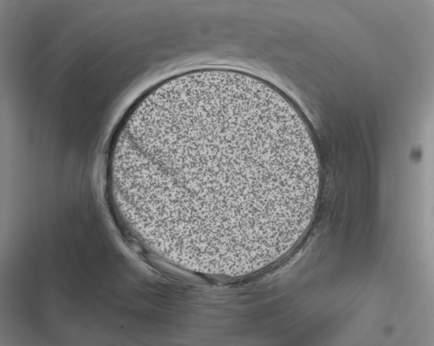 X0000116781511201001141501