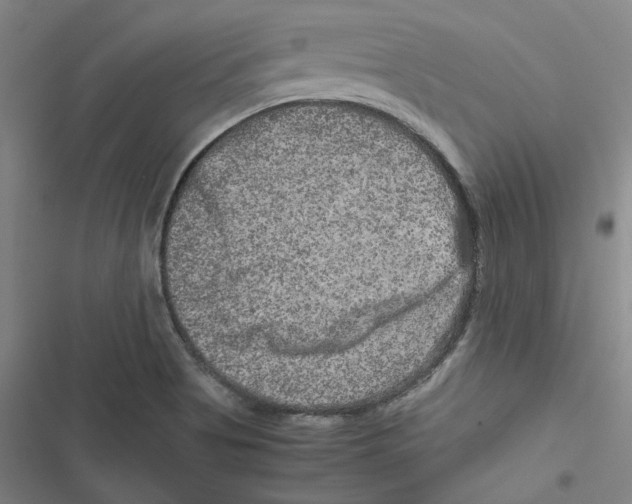 X0000116781513201001141501