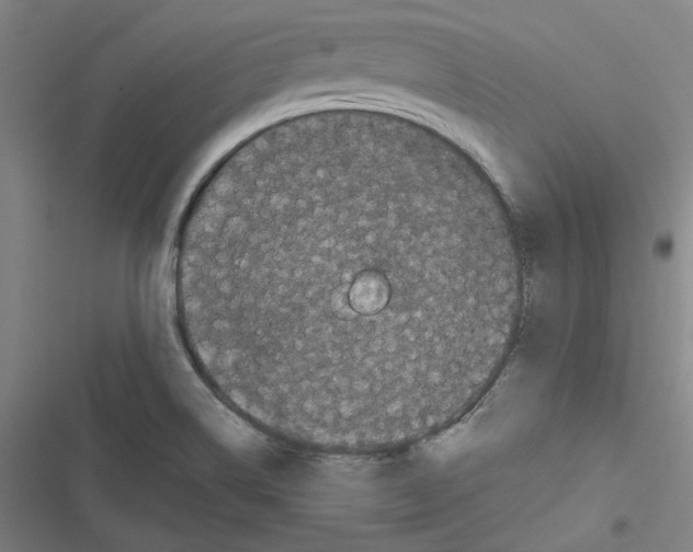 X0000116781514201001141501