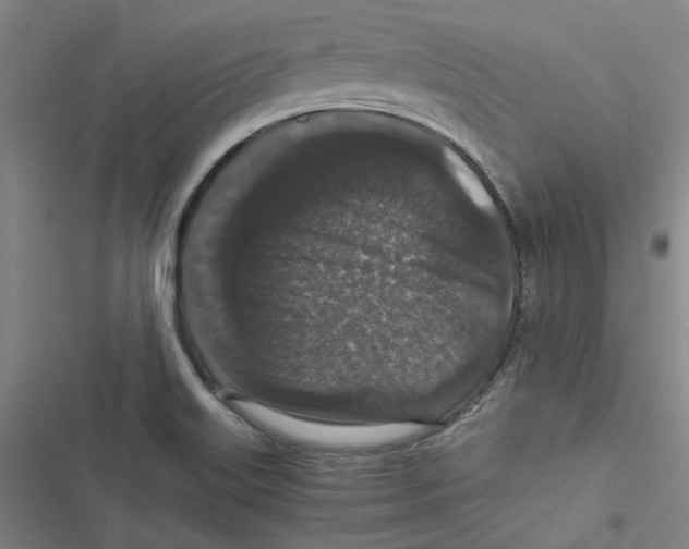 X0000116781515201001141501