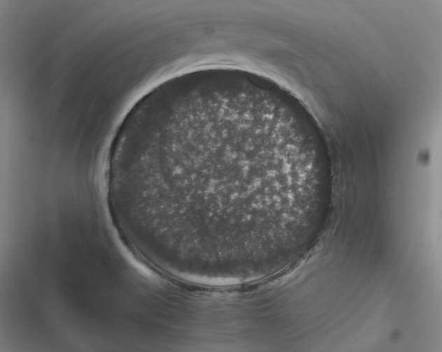 X0000116781519201001141501