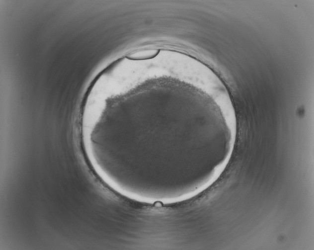 X0000116781522201001141501