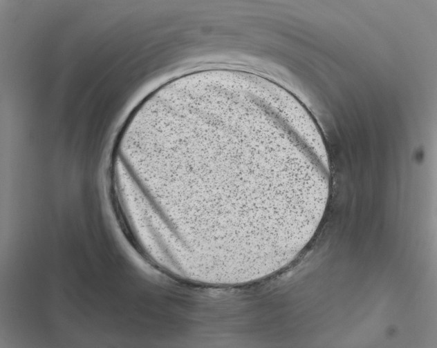 X0000116781523201001141501