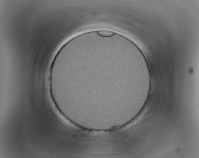 X0000116781526201001141501