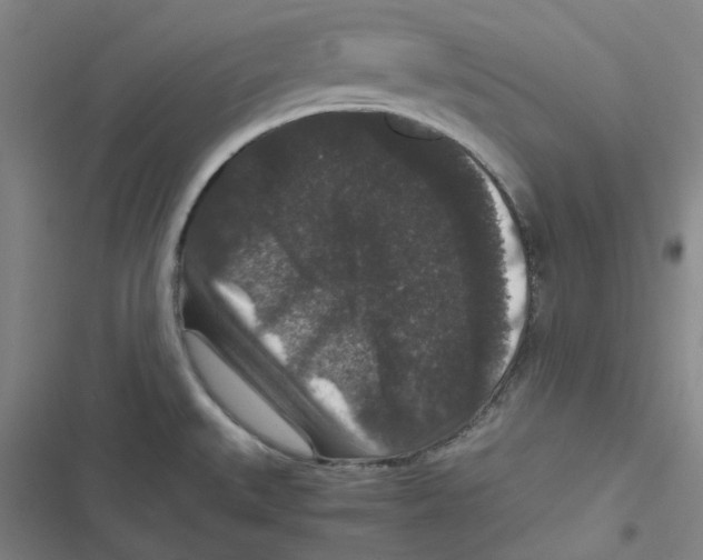 X0000116781527201001141501