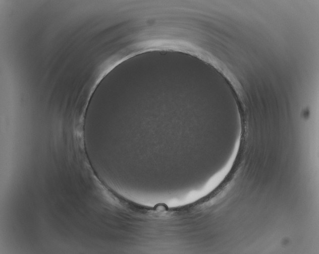 X0000116781529201001141501