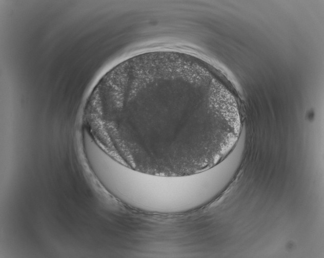 X0000116781530201001141501