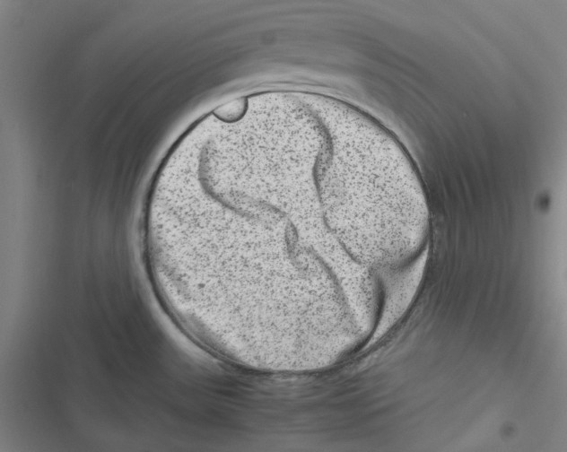 X0000116781531201001141501