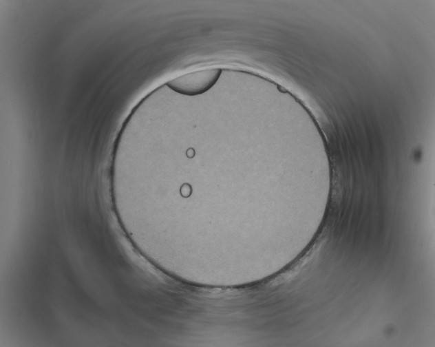 X0000116781534201001141501