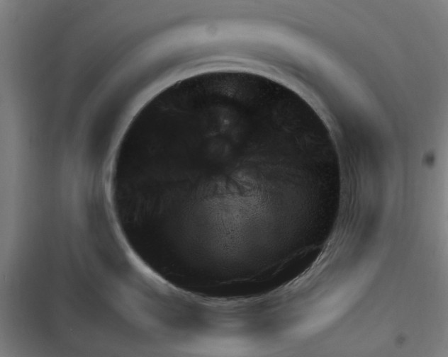 X0000116781535201001141501