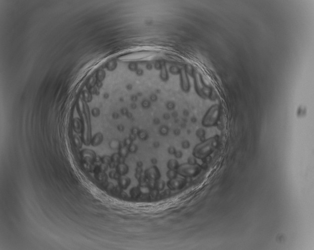 X0000116780001201001281131