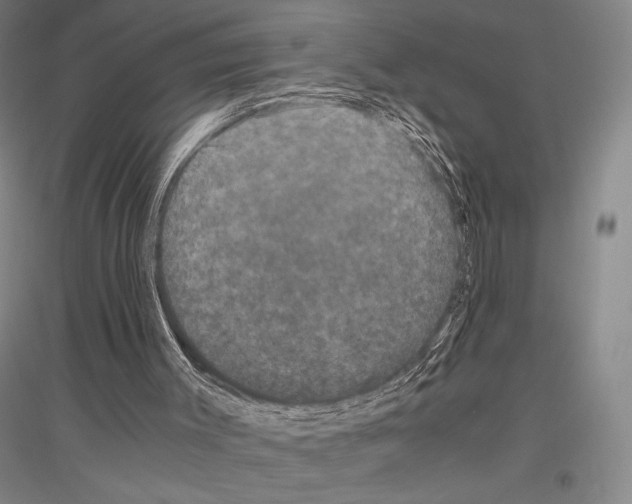 X0000116780003201001281131