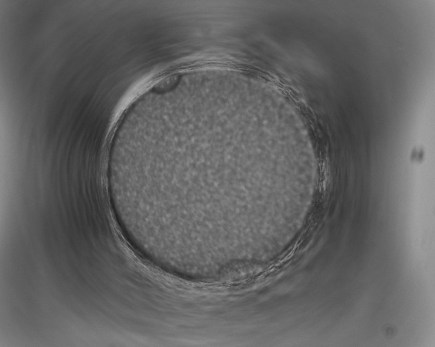 X0000116780004201001281131