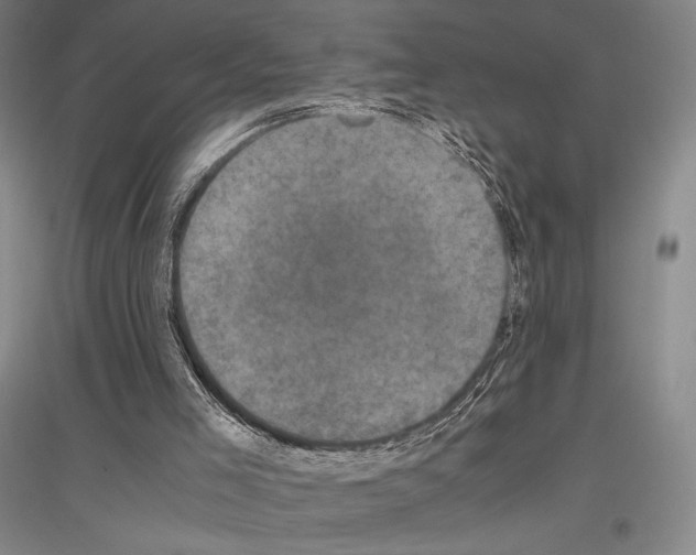 X0000116780005201001281131