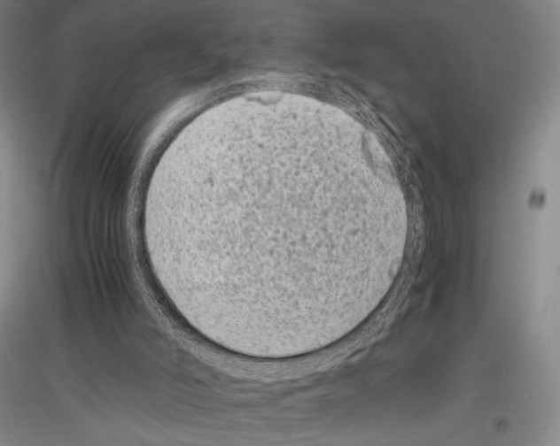 X0000116780006201001281131