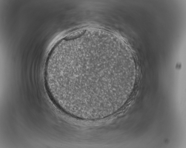 X0000116780007201001281131