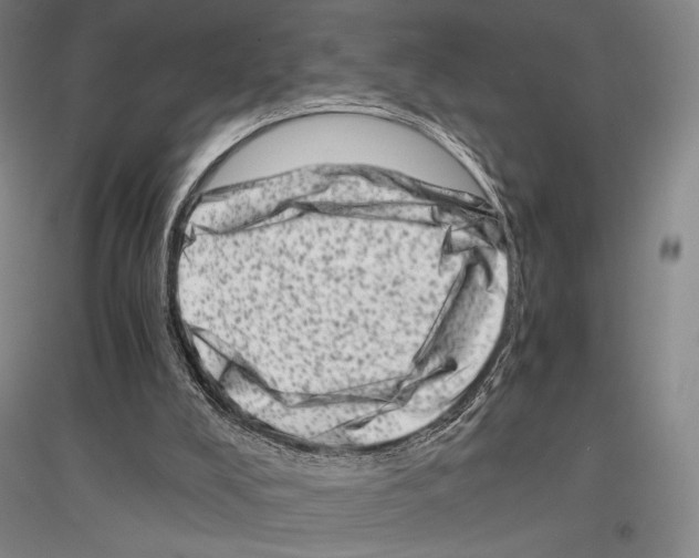 X0000116780008201001281131