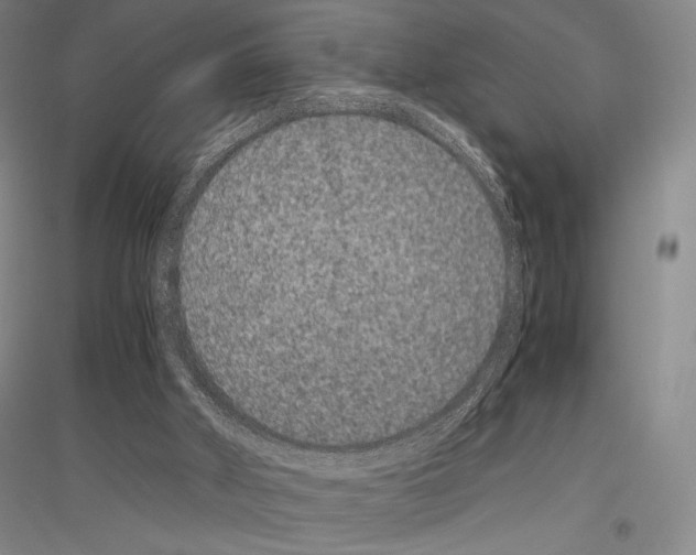 X0000116780010201001281131