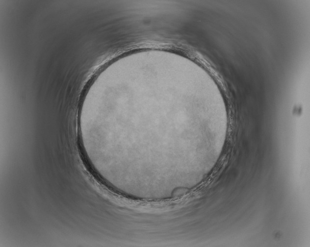 X0000116780011201001281131