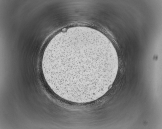 X0000116780012201001281131