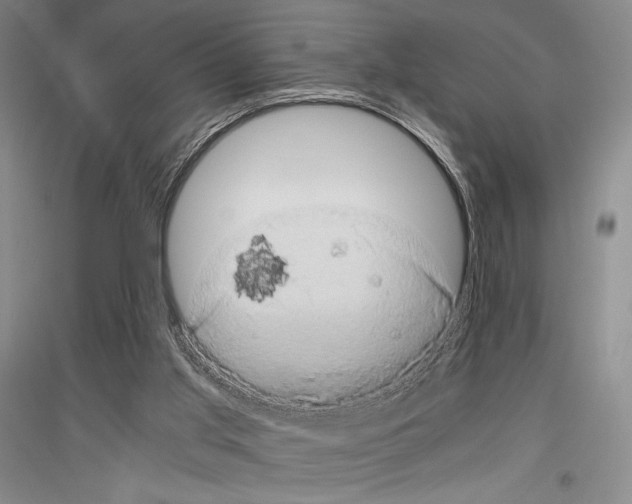 X0000116780013201001281131