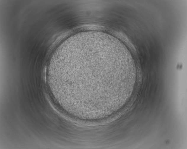 X0000116780014201001281131