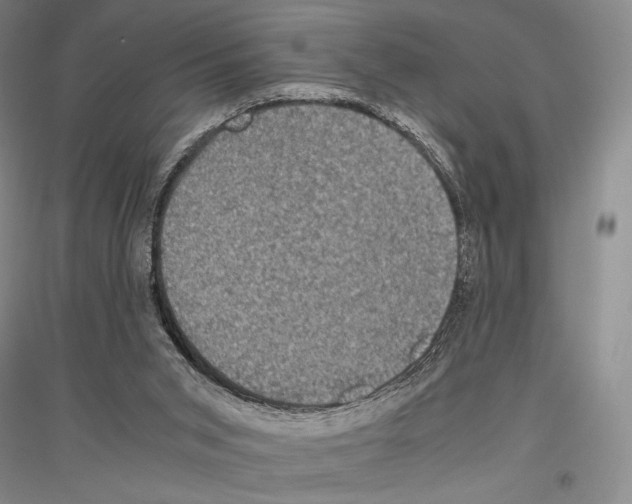 X0000116780015201001281131