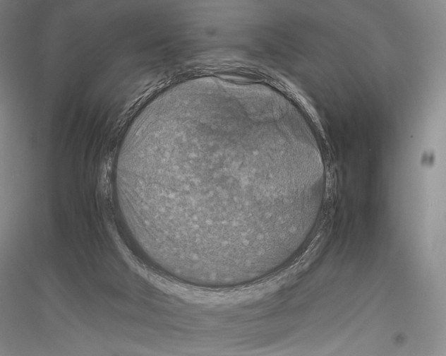 X0000116780018201001281131