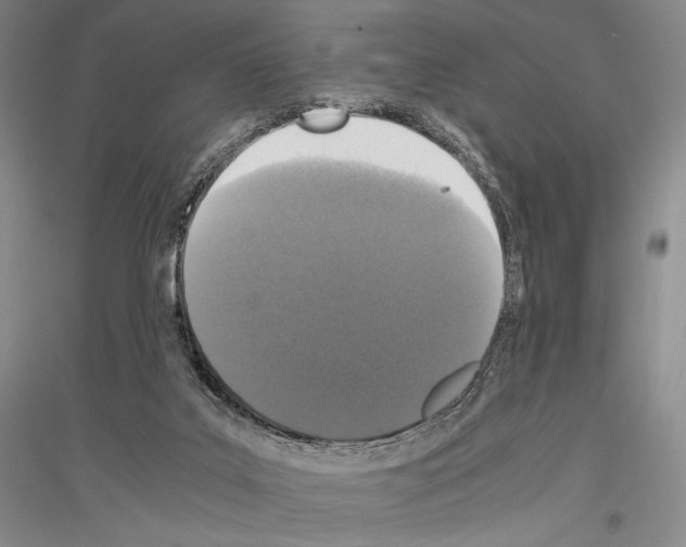 X0000116780019201001281131