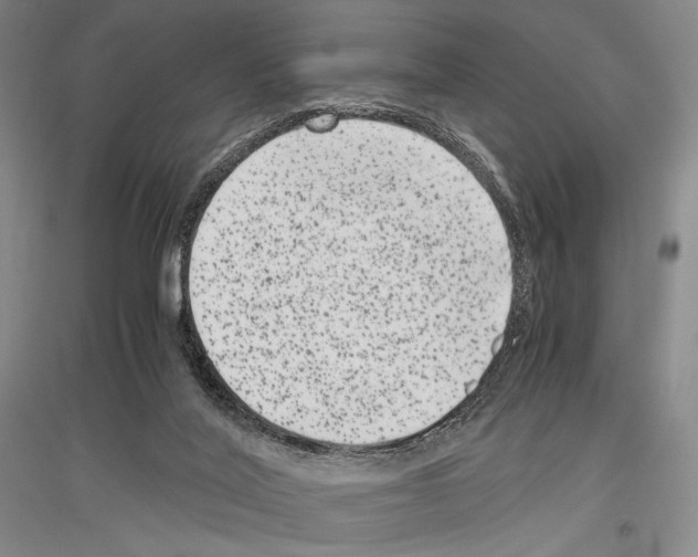 X0000116780020201001281131