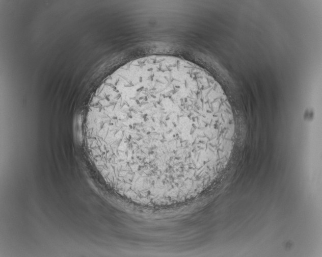 X0000116780022201001281131