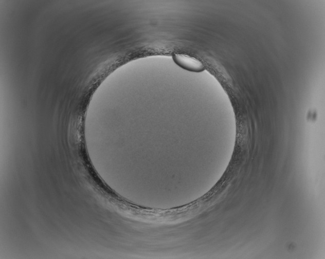 X0000116780023201001281131