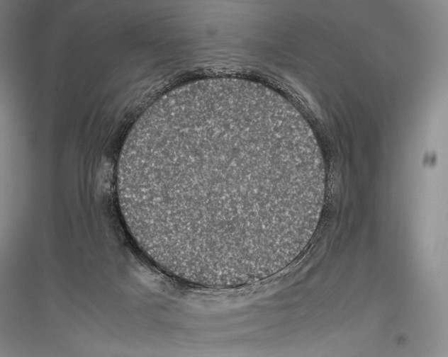 X0000116780025201001281131