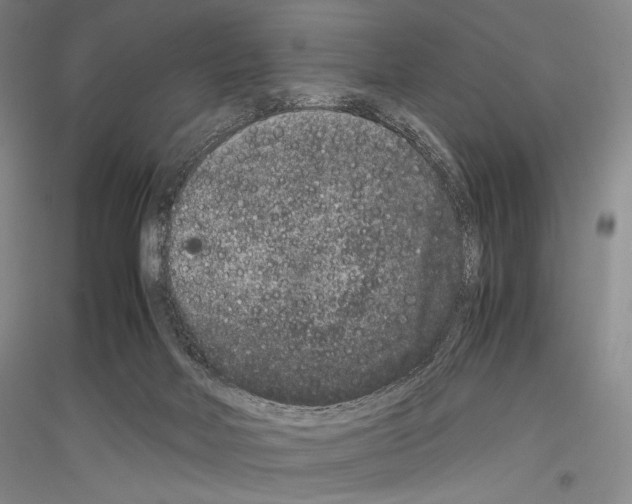 X0000116780026201001281131