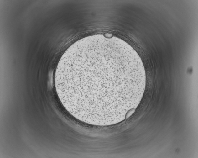 X0000116780028201001281131