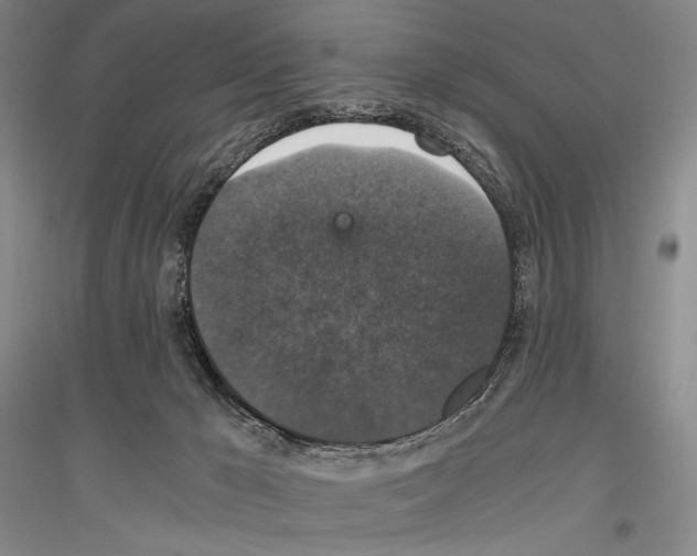 X0000116780029201001281131