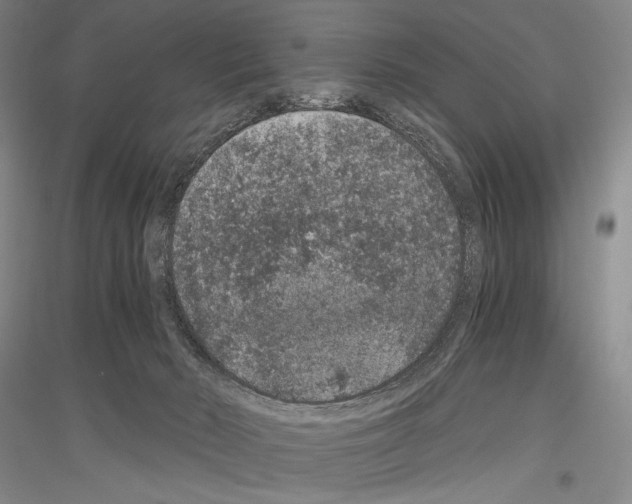 X0000116780030201001281131