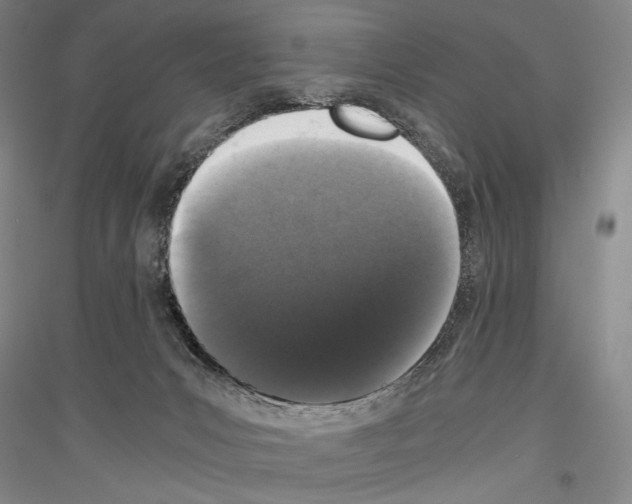 X0000116780031201001281131