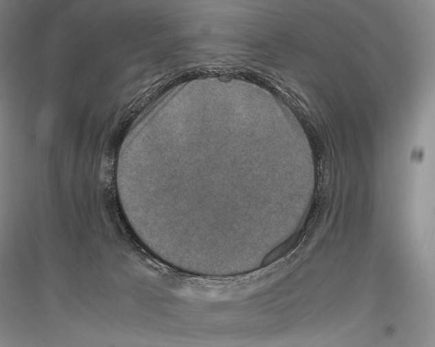 X0000116780033201001281131