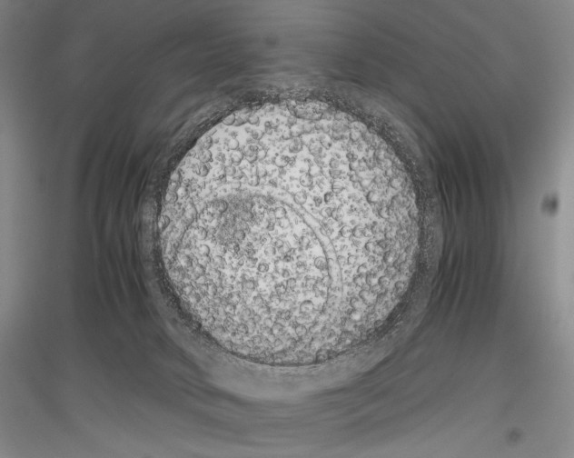 X0000116780034201001281131